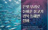 가을의 풍요를 담은 저장의 미학… 경북문화관광공사, 10월 미식여행(METI) 발행