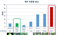 고기 싸 먹는 쌈배추의 변신…항산화 성분 생성량 청경채의 35배