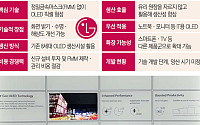 LG디스플레이, 차세대 OLED 기술 ‘FLiPP’ 승부수…“IT 시장 직접 연다”