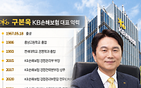 구본욱 KB손보 대표, '회사가치성장률 1위' 향한 체질 개선⋯성적표는 [보험 CEO 연임 레이스 ⑧]