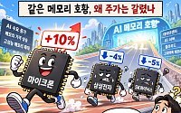 마이크론은 10% 뛰는데 삼전·하닉은 뒷걸음…메모리 호황 속 ‘엇갈린 성적표’