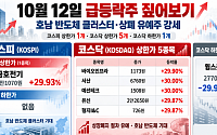 [급등락주 짚어보기] 최태원 ‘호남 반도체’ 속도전에 금호전기·서산·유신 상한가…상폐 유예주도 강세