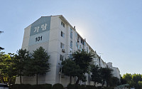 수서택지지구 첫 조합설립인가⋯일원동 가람아파트 818가구로 탈바꿈