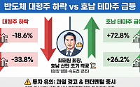 반도체 대장주 급락에도 '호남 반도체 테마株'는 날았다