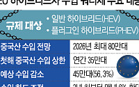 中 잡으려다 ‘한국산’까지 잡힌다⋯EU 하이브리드 쿼터제의 역습 [관세 장벽, 쿼터의 역습]