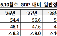 IMF, 韓 부채비율 54.4→46.1% 하향…"GDP 성장·세입 개선"