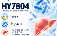 술로 손상된 간에 프로바이오틱스가?…hy, 동물실험서 가능성 확인