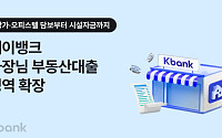 케이뱅크, ‘사장님 담보대출’ 아파트 넘어 상가·오피스텔로 확대