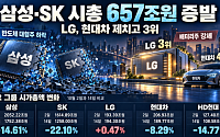 ‘6000피 붕괴 위기’ 삼성·SK 시총 657조 증발…LG는 현대차와 시총 뒤바뀜