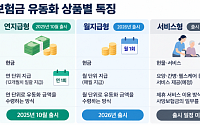 사망보험금으로 간병·요양 받는다더니… '서비스형' 연내 출시 불투명