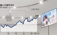 애플은 ‘독야청청’⋯엔비디아 이어 시총 5조달러 클럽 합류