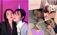 김선아, 故 설리 반려묘와 함께한 7년⋯“네가 남긴 내 삶의 빛”