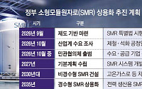 제철소엔 전기, 석화공장엔 증기⋯산업용 소형원전 뜬다