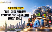 KB운용, '미국 빅테크 TOP10 50 목표전환 펀드' 출시…대표 기술주에 동일 비중 투자