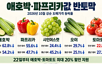 애호박·파프리카값 반토막…정부, 할인 카드로 ‘농가 구하기’