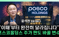 “삼전ㆍSK하닉 실적 고점 우려⋯포스코홀딩스는 ‘수확기’ 진입” [찐코노미]