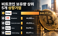 비트코인 보유 상위 5개사 '100만BTC' 돌파, 스트래티지에 84% 집중