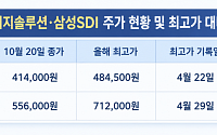 전기차 찬바람에 고점 찍고 22% 꺾인 배터리주...증권가 “ESS가 판 바꿨다”