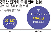 보조금 받아 中 전기차 산다…완성차업계 “생산 지원은 달라야” [제조업 지원 대전환]