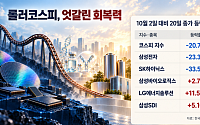 ‘롤러코스피’서 엇갈린 회복력…반도체 부진 속 바이오·배터리 선방