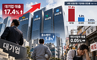 대기업대출 17% 늘린 4대 은행⋯개인사업자는 0.05% ‘제자리’