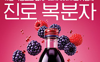 하이트진로, ‘진로 복분자’로 즐기는 10년 숙성의 풍미 [우리기업 대표상품]