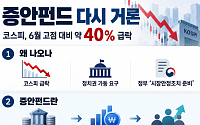 코스피 급락에 ‘증시안정펀드’ 논의 수면 위로⋯“실제 가동보다 정책 신호”