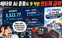 메타發 AI 훈풍도 못 막은 반도체 급락…코스피 'W자 반등론' 시험대