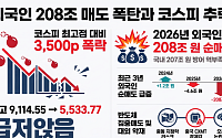 외국인 208조 매도세, 올해만 특별한걸까…최근 3년 외인 투자 방향은?
