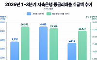 중신용자 중심으로 문턱 바꿨더니⋯사잇돌2 취급액 41% ‘뚝’