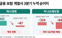 하나생명·손보, 나란히 순익 뒷걸음⋯'질적 성장'으로 반등 모색