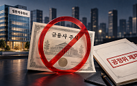 금융사 주식 보유했다가 공정위 철퇴…지주회사의 ‘금지된 투자’