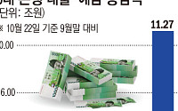 5대 은행 가계대출 이달 2.6조 증가⋯한 달 만에 증가 전환