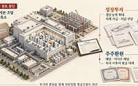 주주 몫 지킬까, 성장 기회 잡을까…자본시장의 딜레마  [솔리다임發 주주보호의 그늘]