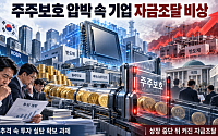 주주 눈치 보는 정치권…中 추격 거센데 기업은 '투자 실탄' 비상 [솔리다임發 주주보호의 그늘]