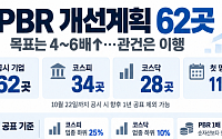저PBR 낙인 피하려 ‘무리수 밸류업 공시’⋯PBR 6배↑ 목표까지 등장