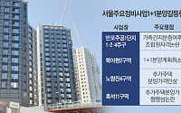“두 채 받는 줄 알았는데”⋯서울 정비사업 곳곳 '1+1 분양' 갈등