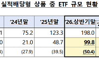 퇴직연금 계좌 속 ETF 100조…금감원 “원금보장 아냐”