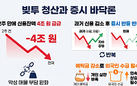 "진짜 바닥 왔나?"…빚투 급감에 '증시 반등 기대감 vs 신중론'[증시 반등의 조건②]