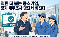 직원 더 뽑는 중소기업, 정기 세무조사 명단서 빠진다