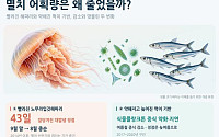 10년 새 해파리 출현 한 달 반 빨라져…남해 멸치 어획량은 25% 감소
