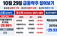 [급등락주 짚어보기] ‘희토류 없는 LED’에 서울반도체그룹 상한가…씨티알모빌리티는 로봇 기대