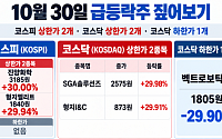 [급등락주 짚어보기] PHP 보안 취약점에 SGA솔루션즈 상한가…진양화학·형지그룹주도 급등