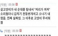 신기 들린 고양이 &quot;버럭하면 바로 천둥번개&quot;