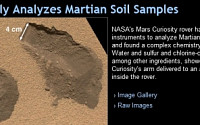 나사 중대발표 알고보니…&quot;화성 토양에서 유기화합물 증거 발견&quot;