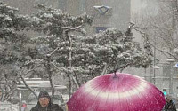 [포토]눈 내리는 광화문 광장