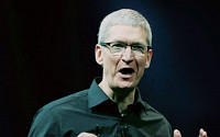 애플 CEO 팀 쿡 '커밍아웃'…&quot;게이인 것이 자랑스럽다&quot;