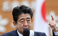 “일본 아베 부양책은 잘못된 처방전”