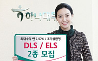 하나대투증권, DLS·ELS 2종 모집