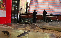 중국 상하이 쇼핑센터 수족관 박살…식인상어 풀려 고객들 ‘혼비백산’